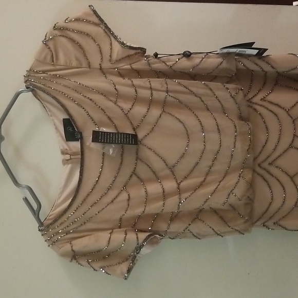 Adrianna Papell Women's Blouson Beaded Gown - Picture 5 of 11